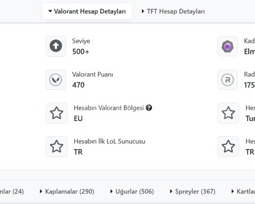 koleksiyonluk hesap