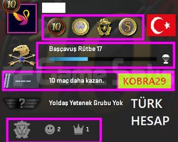 TR HESAP+FACEİT+4 MADALYA 45 WİN 181 SAAT SEÇKİN