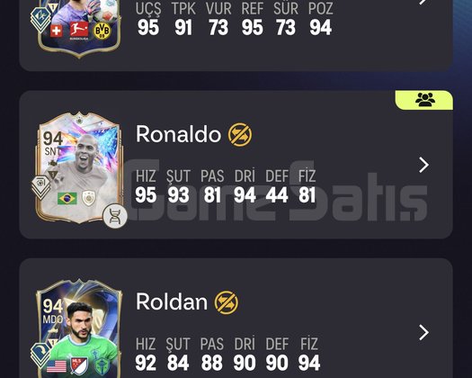 Galatasaray Kadrolu Ronaldolu Bol foderlı PC Hesap