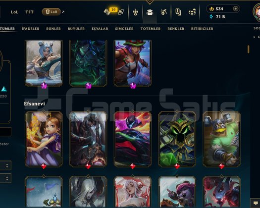 544 SKİN / RUHSÖMÜREN VAYNE +MAİL +TELEFON
