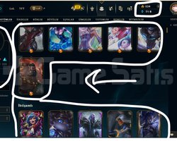 544 SKİN / RUHSÖMÜREN VAYNE +MAİL +TELEFON
