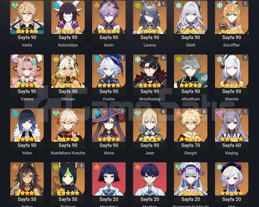 C6 Wriothesley main endgame hesap EU