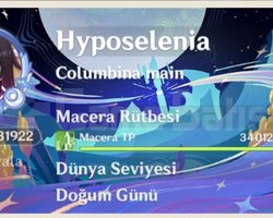 C6 Wriothesley main endgame hesap EU