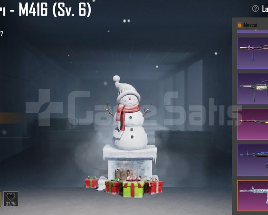 53 KOL  75 DESTANSI  ALTIN FIR  FIR CANTA
