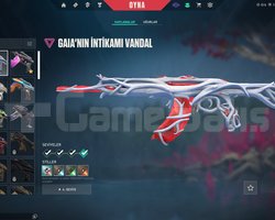 PLAT2 SKİNLİ HESAP
