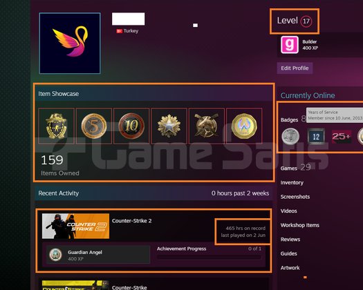 FACEİT+12K OYUN+6 MADALYA 226 WİN 465 SAAT SEÇKİN