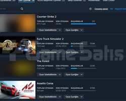 STEAM HESAP