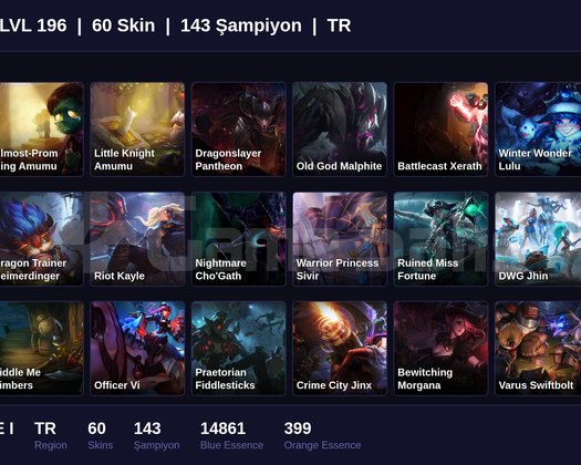 TR / 196 LVL + 60 SKİN + BRONZE I !!