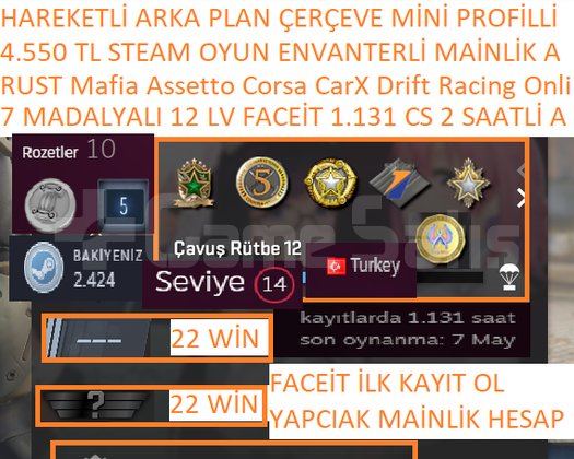 RUST MAFİA Assetto Corsa 4550 TL STEAM OYUN ENVANT