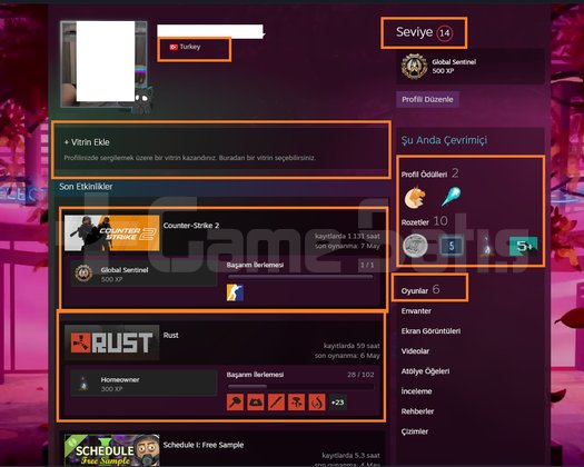 RUST MAFİA Assetto Corsa 4550 TL STEAM OYUN ENVANT