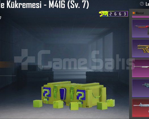 BOL NİHAİLİ / 2 MUMYA / 3x M416 MAX / 4 SPOR