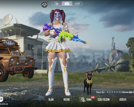 70 koleksiyon kertenkele 7 lvl su m416 6 lvl