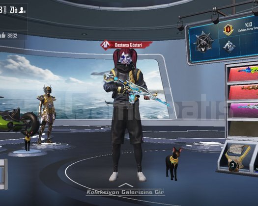 70 koleksiyon kertenkele 7 lvl su m416 6 lvl