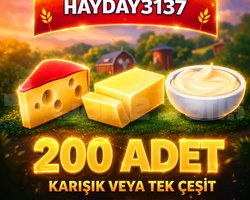 200 ADET KREMA PEYNİR TEREYAĞ