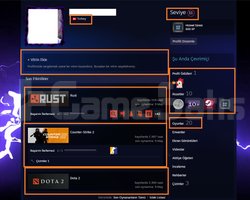 RUST PUBG PLUS RAİNBOW DOTA 2 1 AD ARCANA 8750 TL