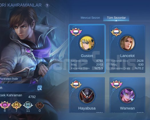 Mega koleksiyon hesap
