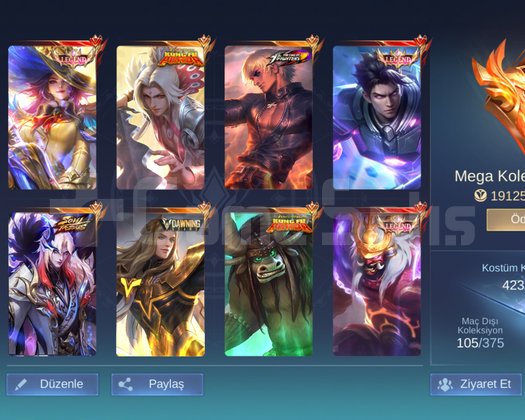 Mega koleksiyon hesap