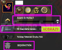 TEK FİYAT ! FACEİT ! 4 MADALYA 13 WİN 41 SAAT