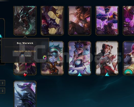 EUW MASTER 300+LP