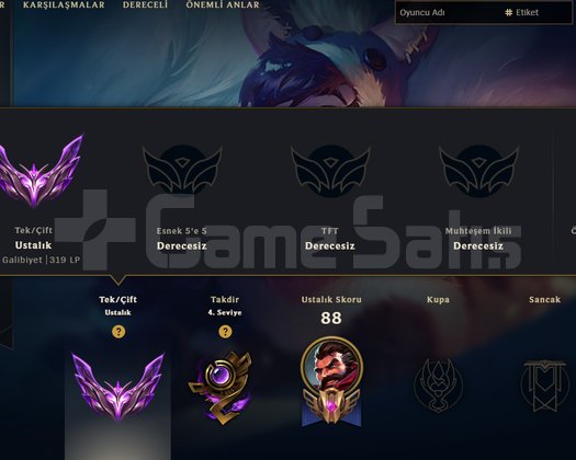 EUW MASTER 300+LP