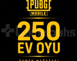 250 Ev Oyu Uygun Fiyat