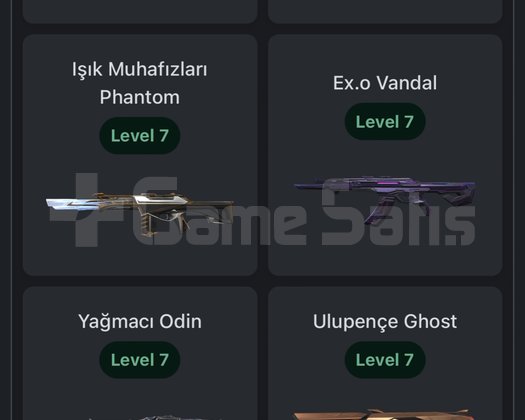 Mail değişen + toplam 220 skin + 250+level