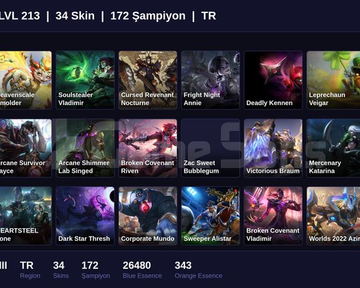 TR / 213 LVL + 34 SKİN + SILVER III + MAİL ONAYSIZ