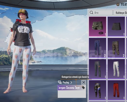 Ucuz nadir pubg hesabı