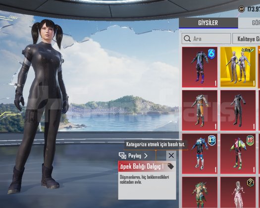 Ucuz nadir pubg hesabı