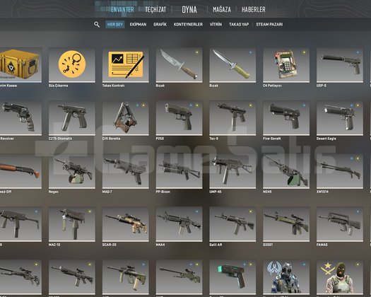 CS2 SEÇKİN - KASA + SKIN + 4.51 SKINLER