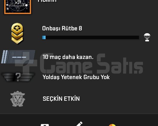CS2 SEÇKİN - KASA + SKIN + 3.76 SKINLER