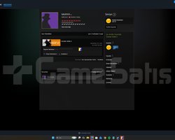 CS2 SEÇKİN - KASA + SKIN + 4.02 SKINLER