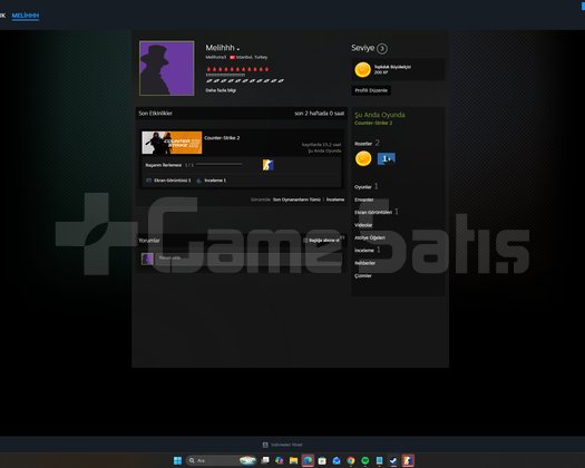 CS2 SEÇKİN - KASA + SKIN + 4.02 SKINLER