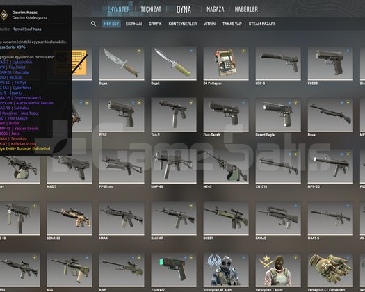 CS2 PRIME - KASA + SKIN + 4.65 SKINLER