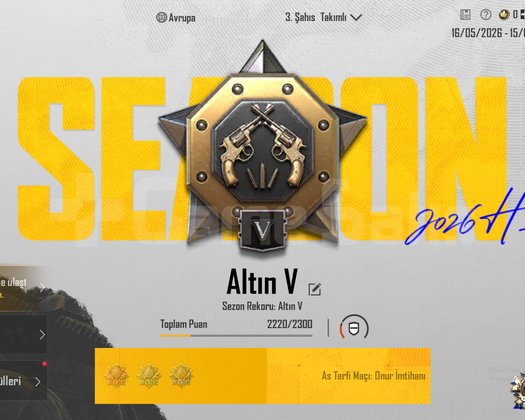 TEK BAĞ !! ALTIN V + 2X ID KARTI ++