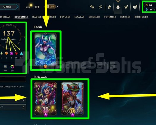 160 LVL + 137 KOSTÜM + 172 HERO + DEMİR 1 + MAİL!