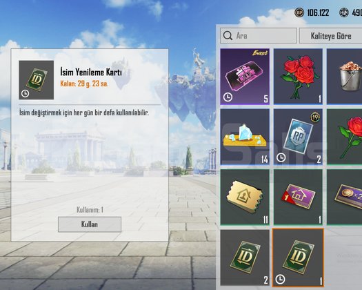 TEK BAĞ !! PLATİN V + 3X ID KARTI ++