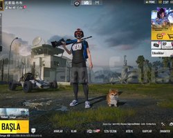 NADİR GORZİLLA AWM BEBEK HESAB