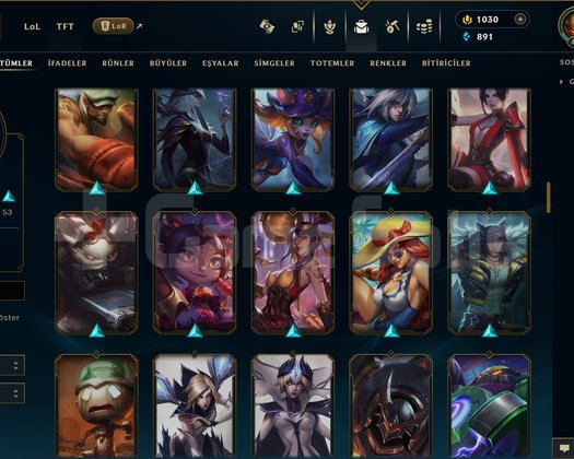 424 LEVEL / 124 SKİN / FUL HERO +MAİL +1K RP