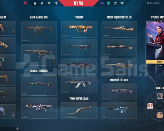 ARCANELİ 4 VANDALLI MAİNLİK ACC!