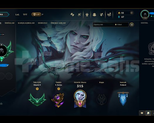 EUW | 134 LVL | ZÜMRÜT 2 55 WR | 95 SKİN