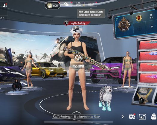 FULL DOLU HESAP LAMBO KOLEKSİYONCUSI