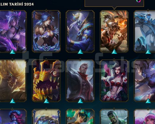 EUW MASTER 55WR 1250 RP Lİ ACC