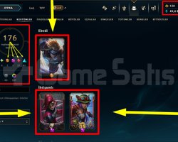 516 LVL + 176 KOSTÜM + 172 HERO + GOLD 2  + MAİL!