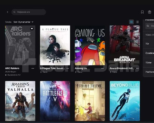 Epic Games Hesapı Fifa,Dying Light,Arc Raiders
