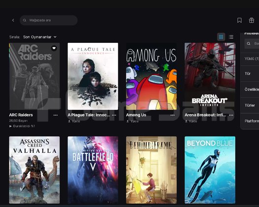 Epic Games Hesapı Fifa,Dying Light,Arc Raiders