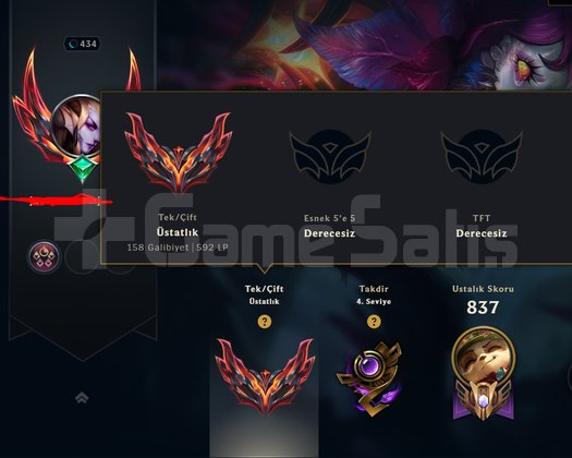TR GM 592 LP 205 SKIN