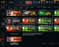 41K Materyalli 55 Seviye Zula Hesabı
