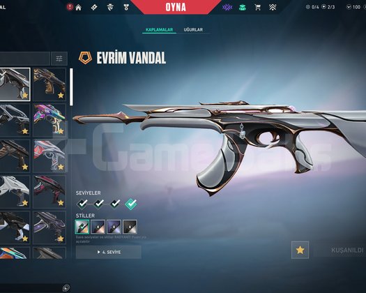 valorant mainlik hesap 35k yatırım geçmişli