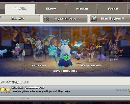 FULL HESAP TEK BAĞ DİREK TESLİM